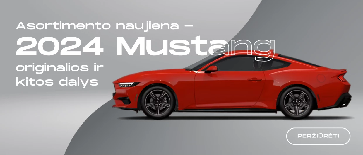Mustang 2024